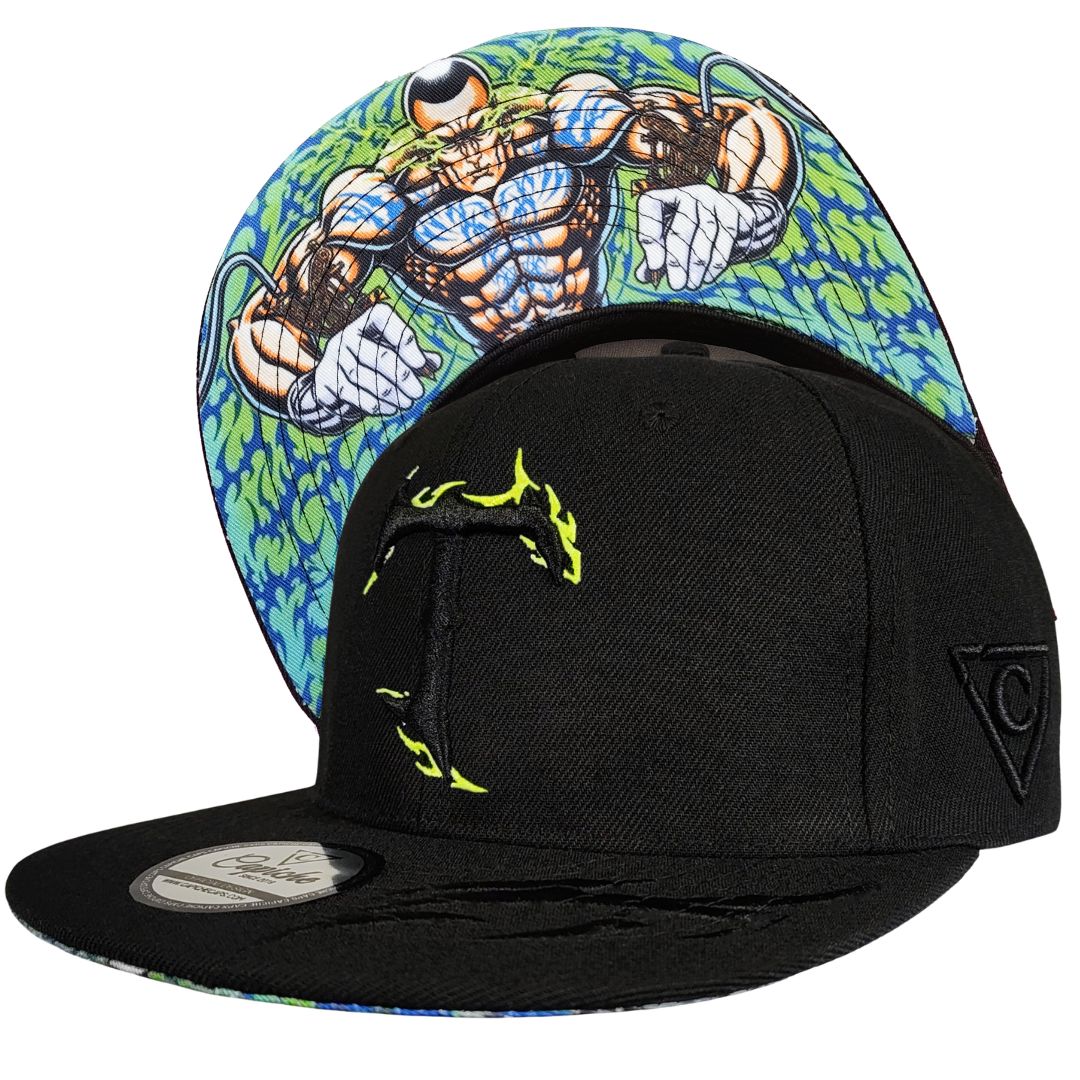 SNAPBACKS
